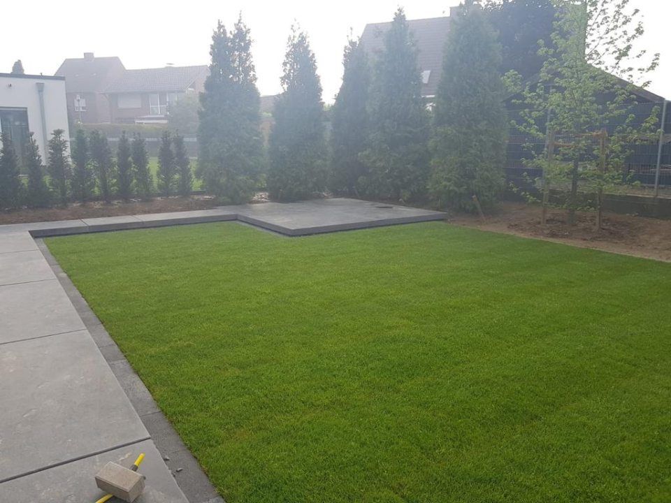 Ein großer üppiger grüner Rasen mit Bäumen im Hintergrund