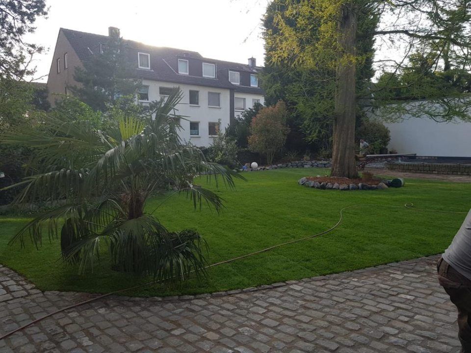 Eine große Wiese vor einem Gebäude mit einem Baum in der Mitte.