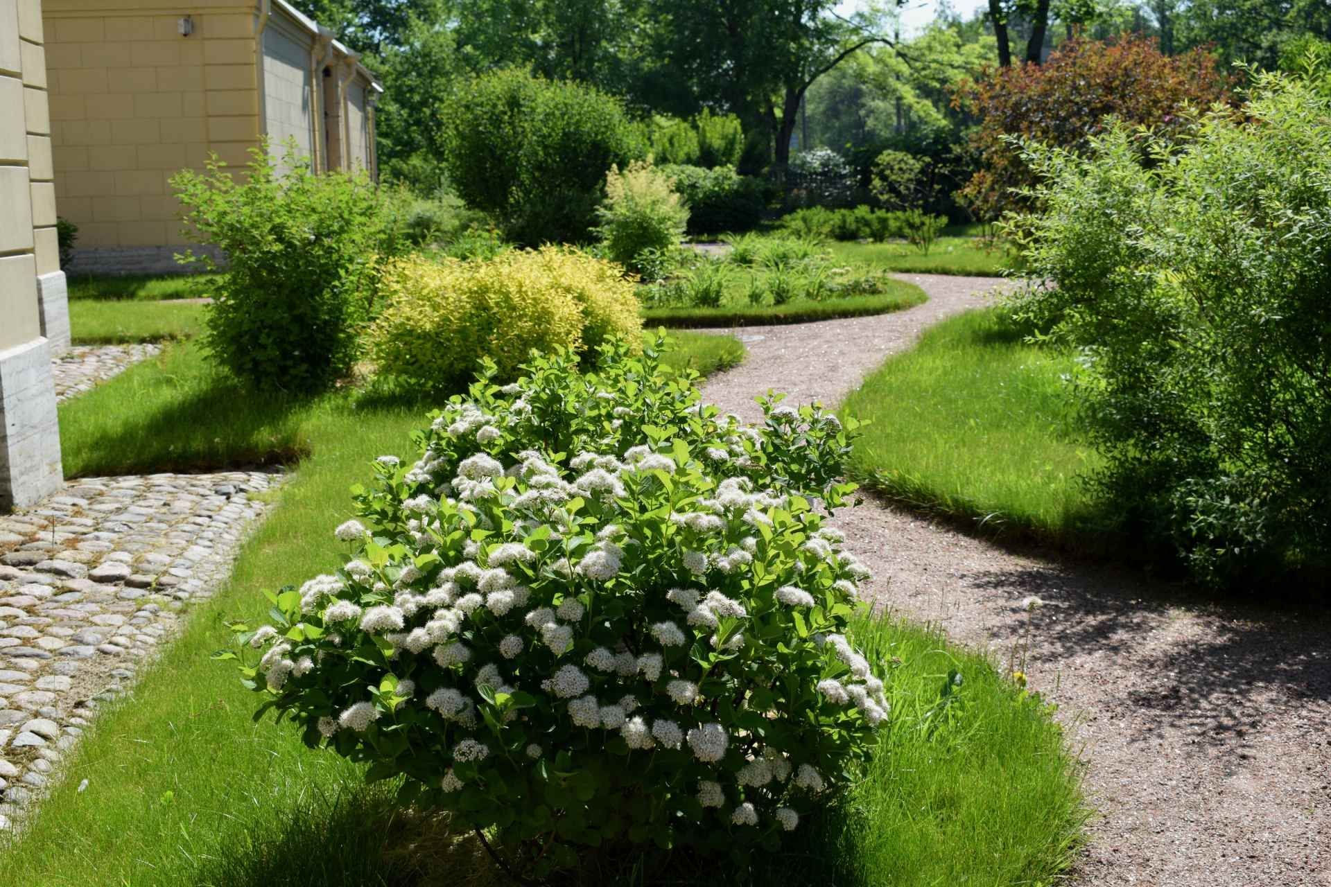 Ein Weg in einem Garten mit Blumen und Büschen.