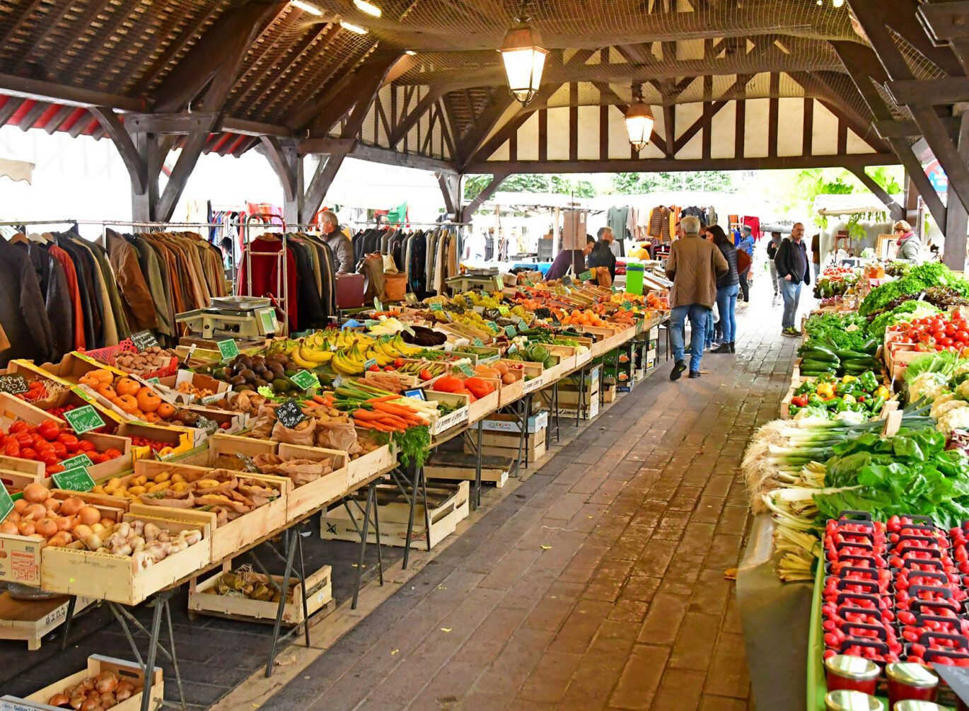 Arbre aux feuilles vertes.
