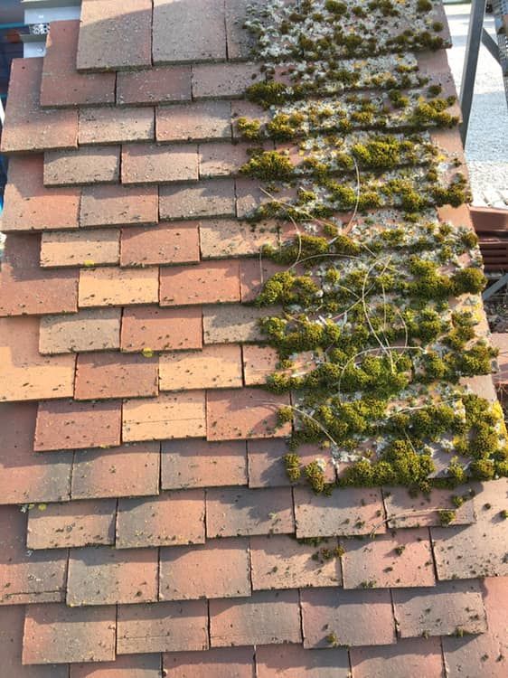 Gros plan sur un toit de tuiles avec une bande de mousse verte poussant le long du côté droit.