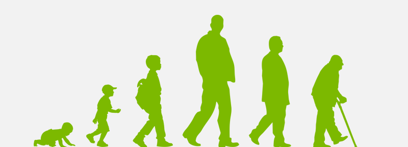 Siluetas verdes que muestran la evolución humana, desde un simio que se desplaza a cuatro patas hasta un adulto que camina, sobre fondo blanco