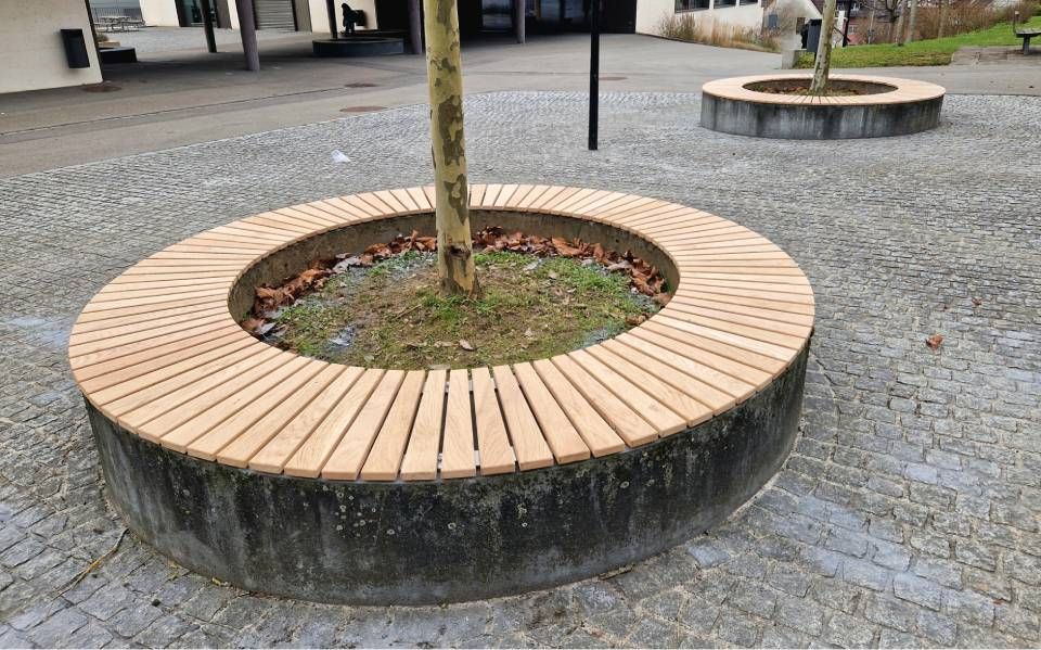 Runde Holzbank um einen Baumpflanzkasten auf einem gepflasterten Platz