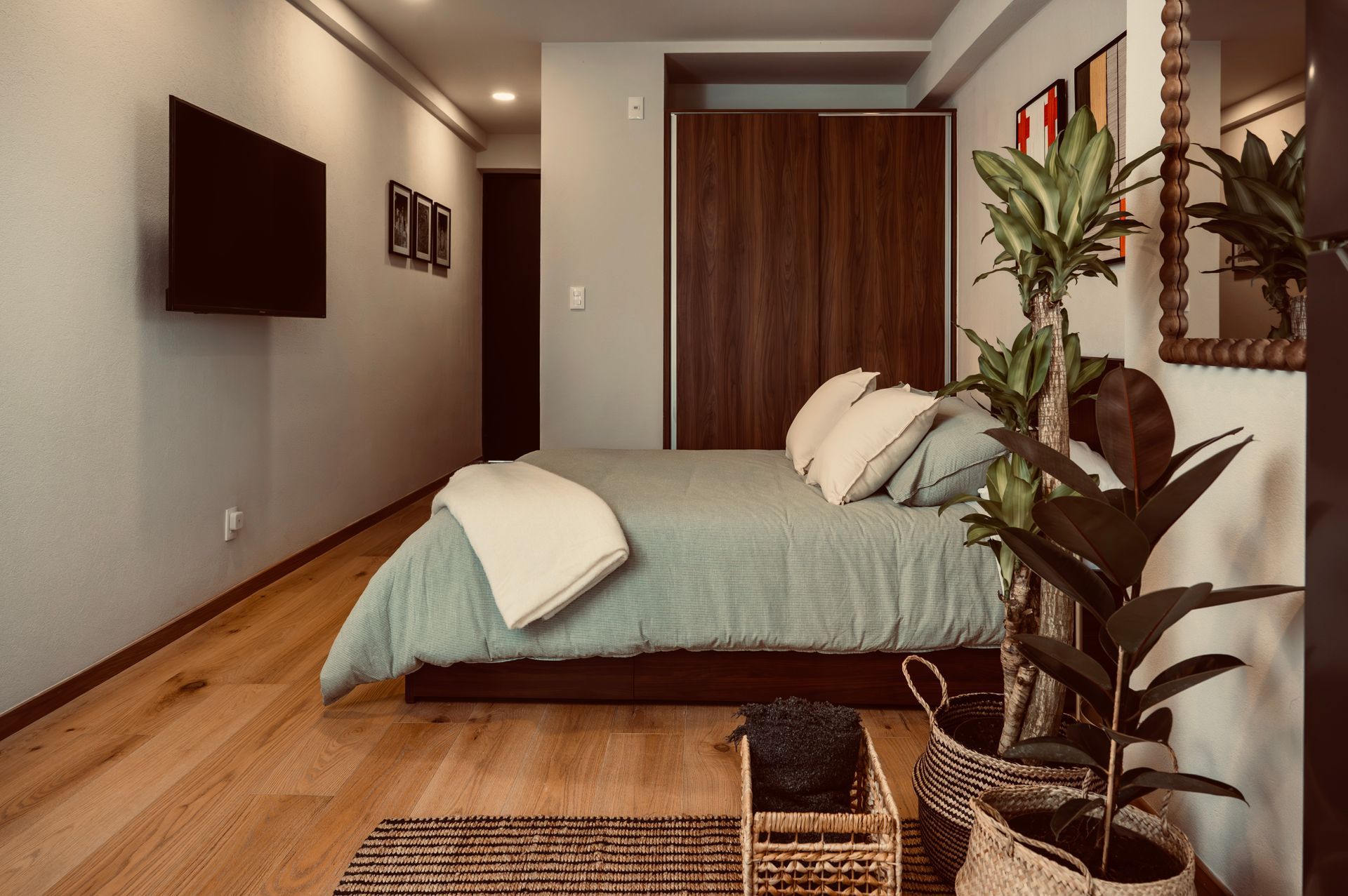 Bedroom with a bed, plants, wooden floor, and a mounted TV.