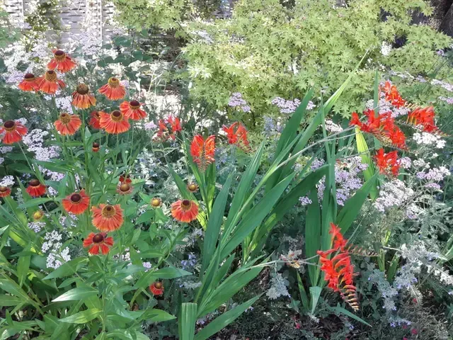 Un ramo de flores rojas crece en un jardín.