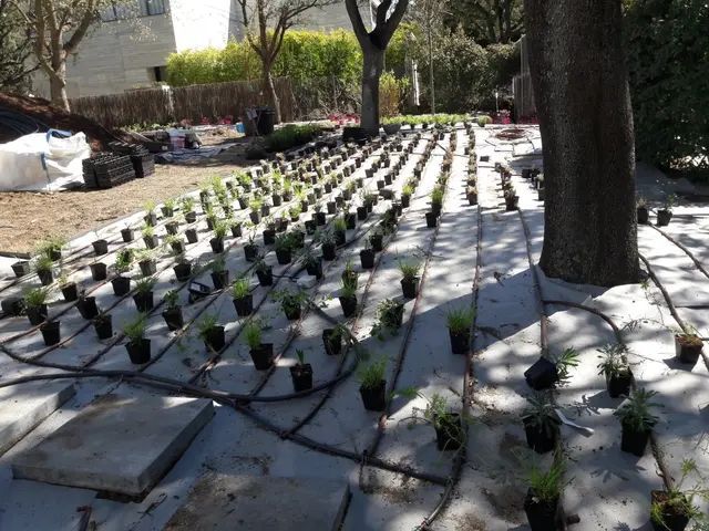 Un montón de plantas en macetas están tiradas en el suelo.