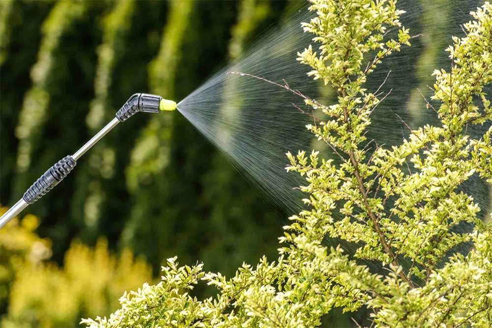 Fitosanitarios en Valdemoro