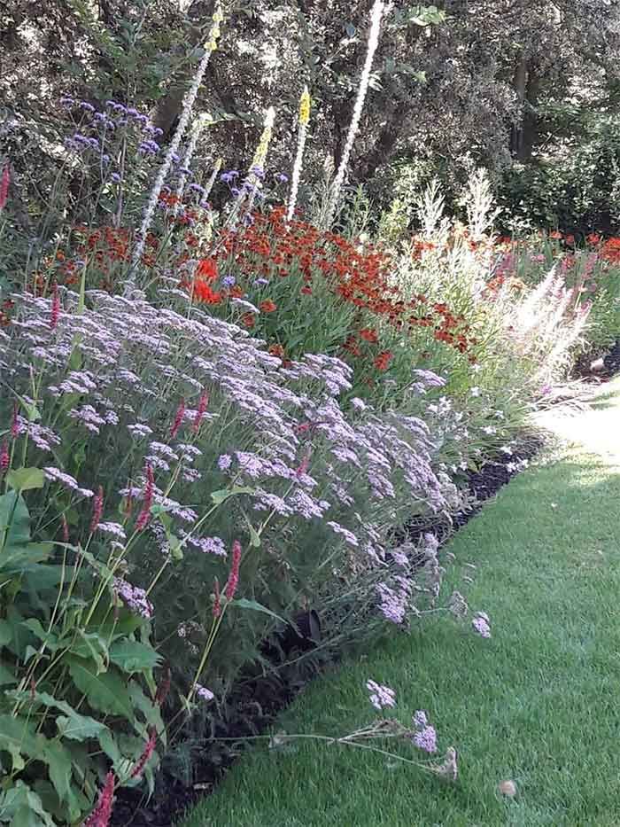 Transformación de jardín en Valdemoro