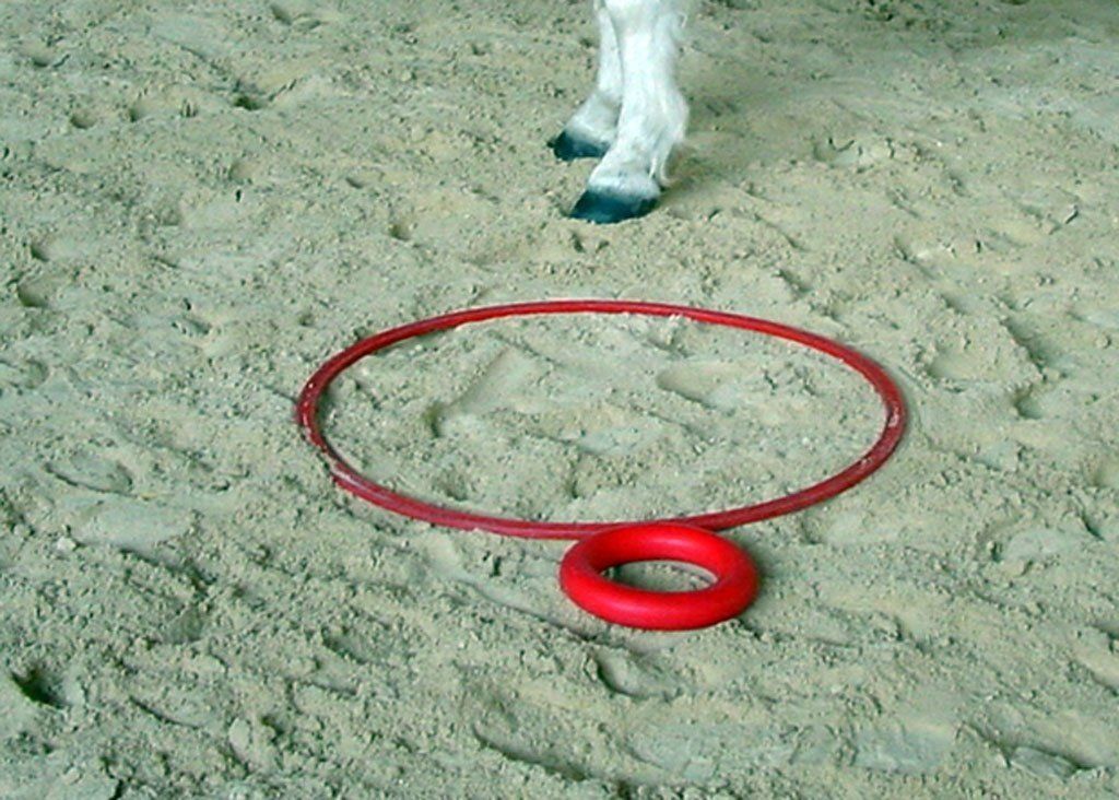 poney club de presinge - Galops 1 to 7