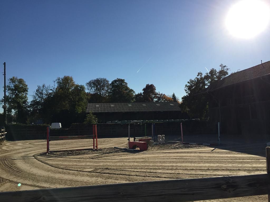 poney club de presinge - cavalier