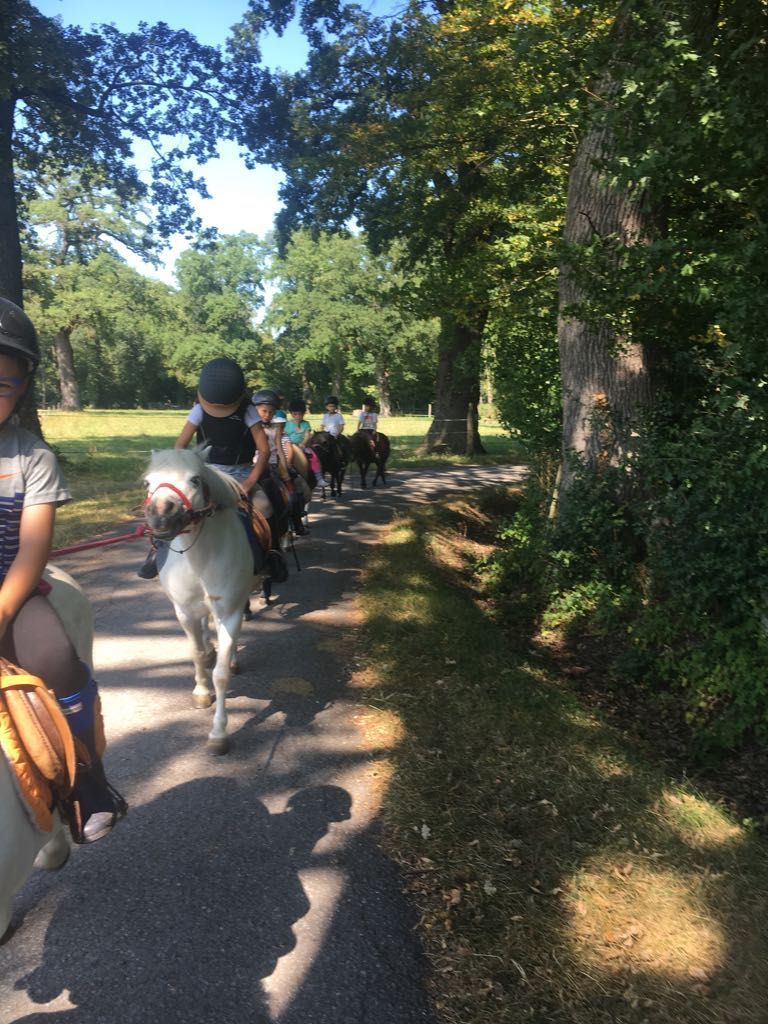 poney club de presinge - Brevets de Cavalier