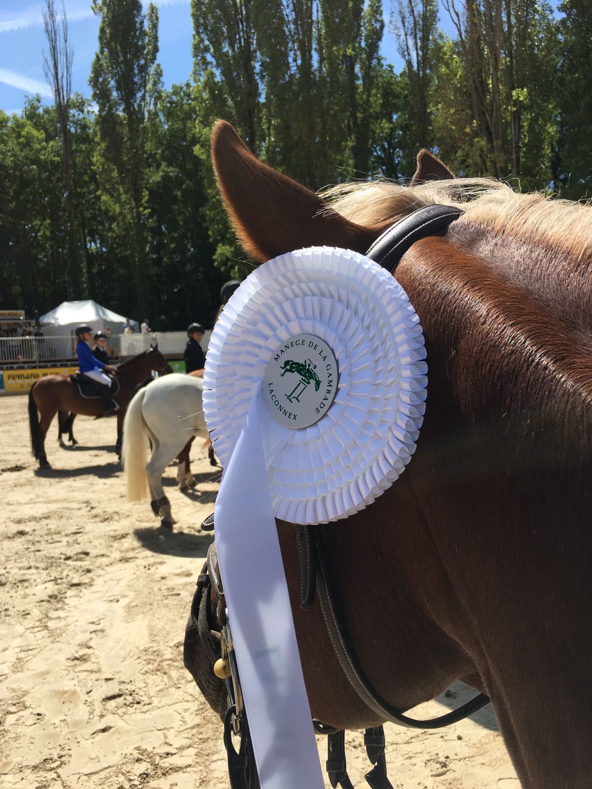 poney club de presinge - Brevets de Cavalier