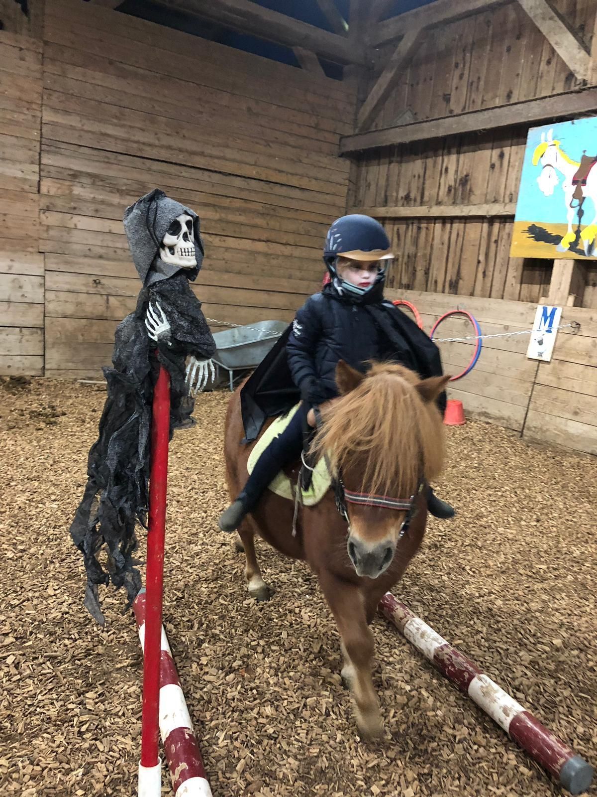 poney club de presinge - Brevets de Cavalier