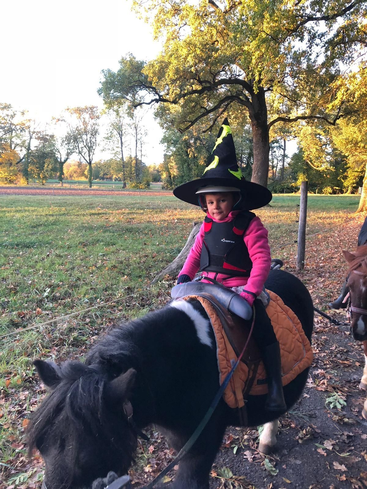 poney club de presinge - Brevets de Cavalier