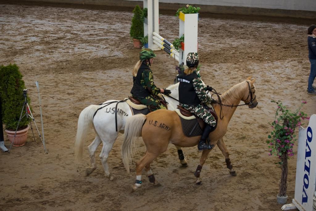 poney club de presinge - Brevets de Cavalier