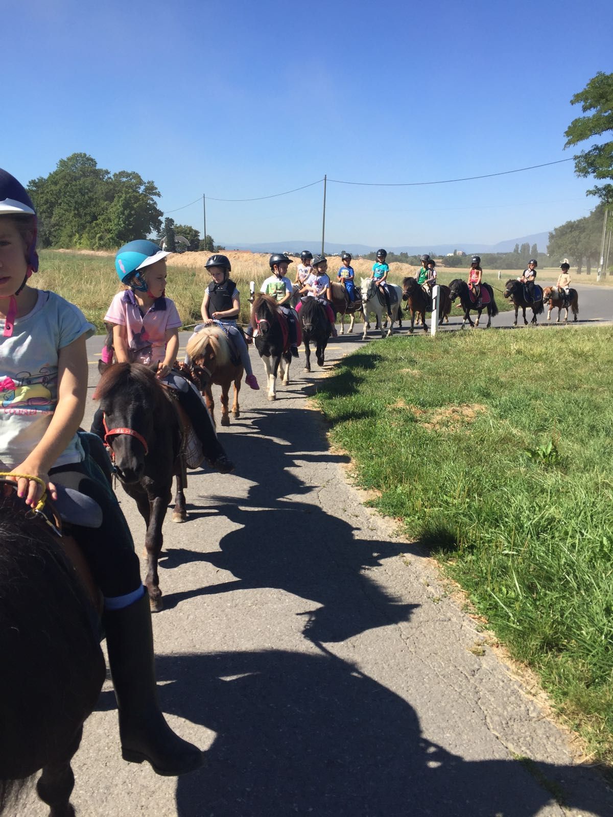 Manège et Poney Club de Presinge