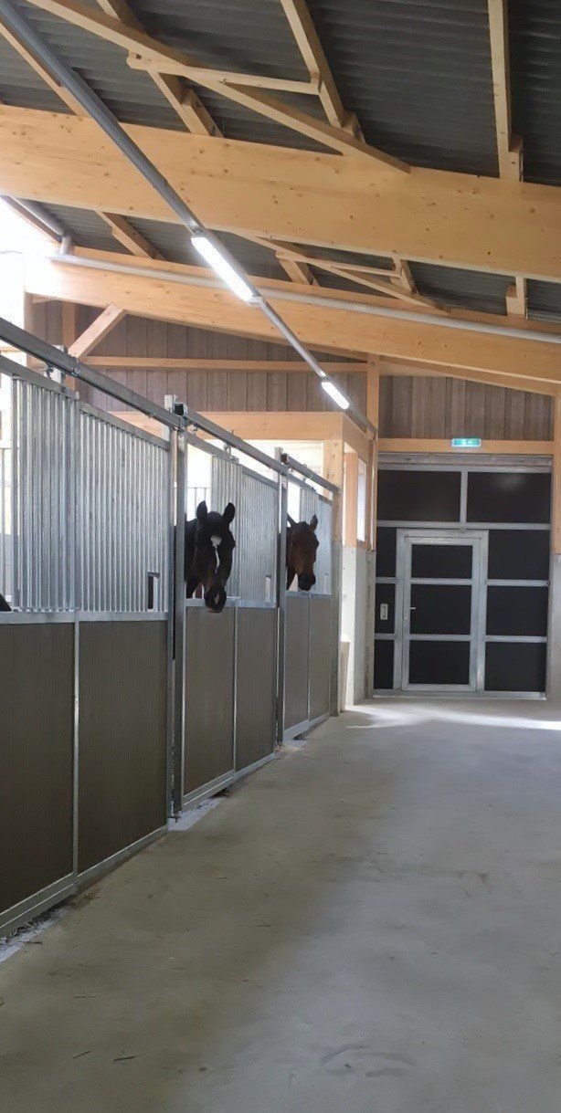 poney club de presinge - training courses