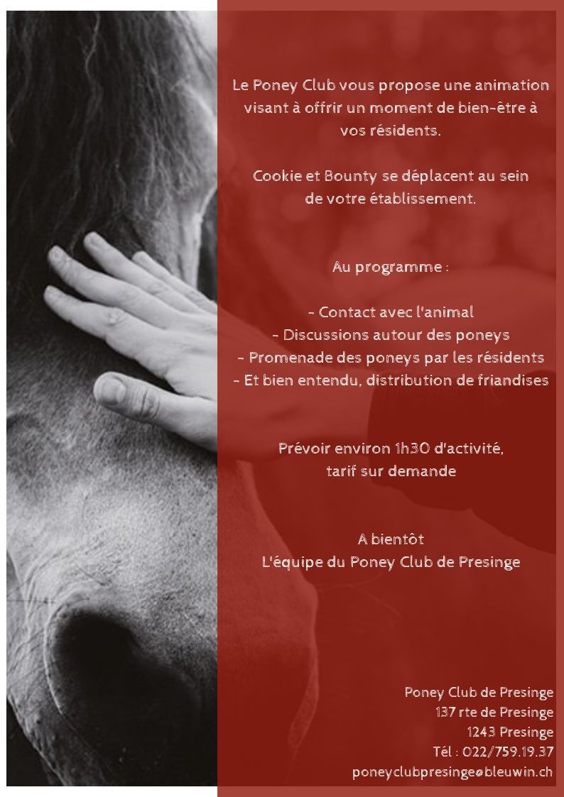 poney club de presinge - Brevets de Cavalier