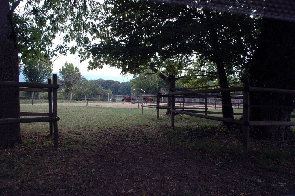 poney club de presinge - Brevets de Cavalier