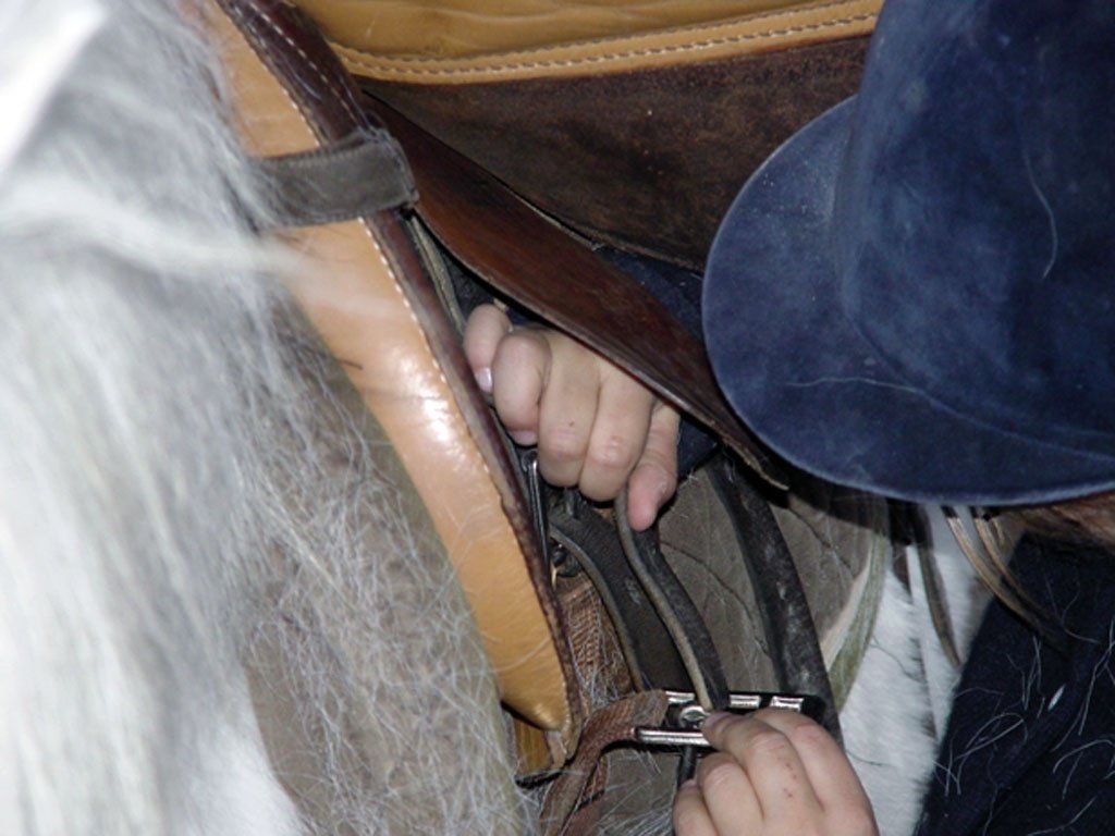 poney club de presinge - rides