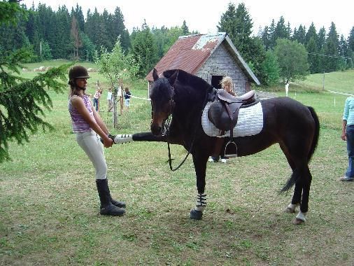 poney club de presinge - Riding school