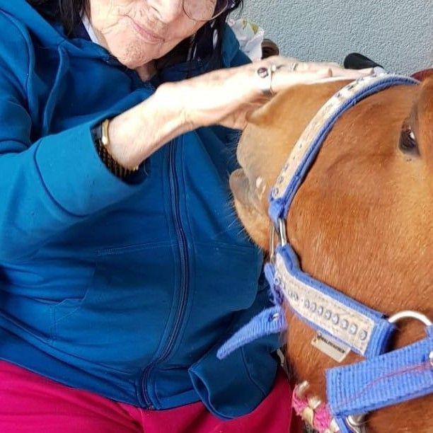 Manège et Poney Club de Presinge
