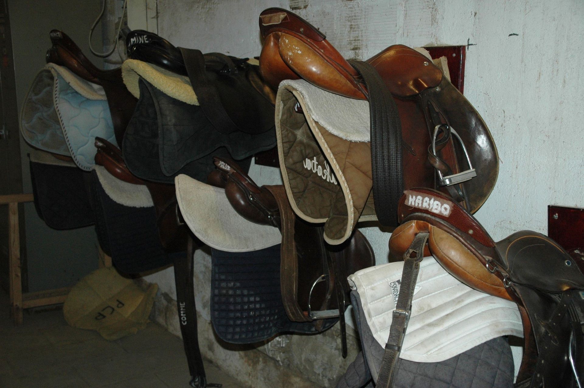 poney club de presinge - equestrian centre