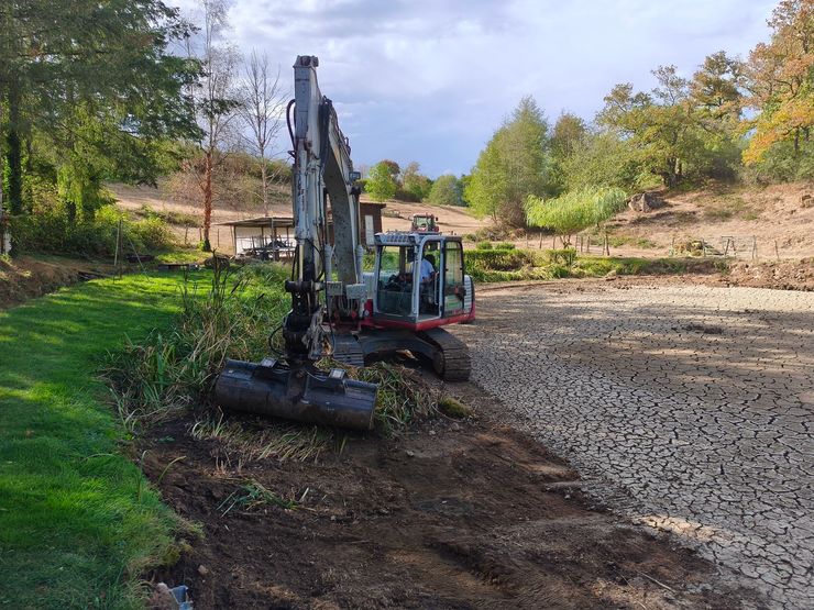 Une excavatrice dégage un chemin de terre à côté d'une zone de gravier dans un champ boisé.