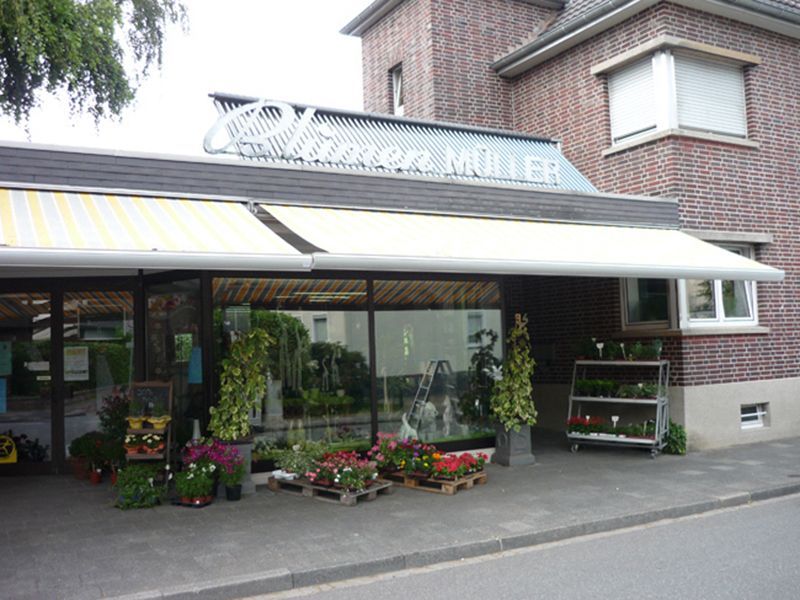 Sonnenschutz