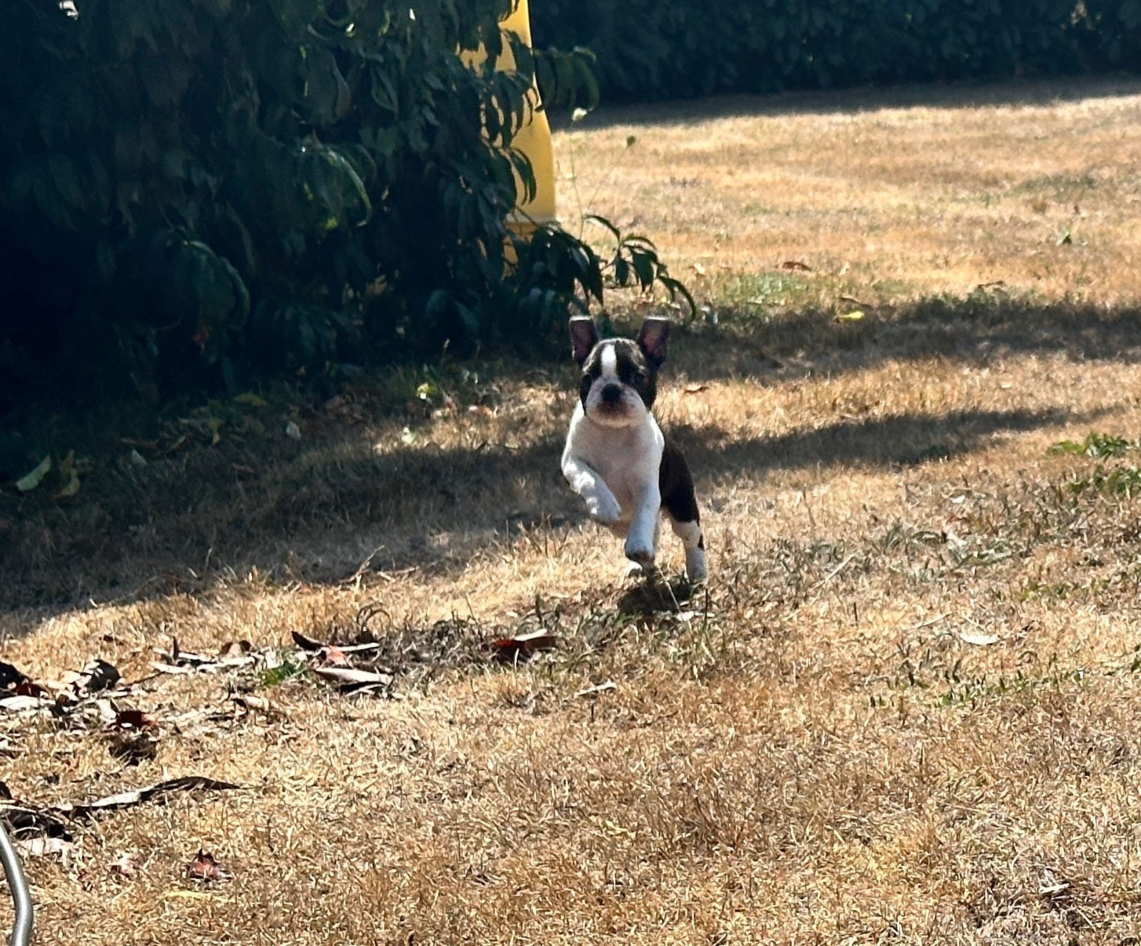bébé femelle sur tapis bleu