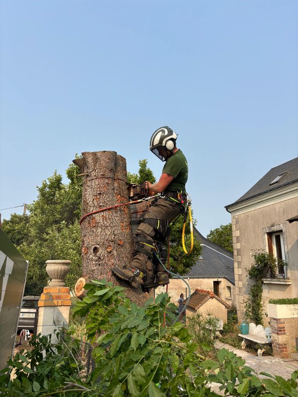 Une personne portant un casque coupe un gros tronc d'arbre à la tronçonneuse à l'extérieur, près d'une maison en pierre.