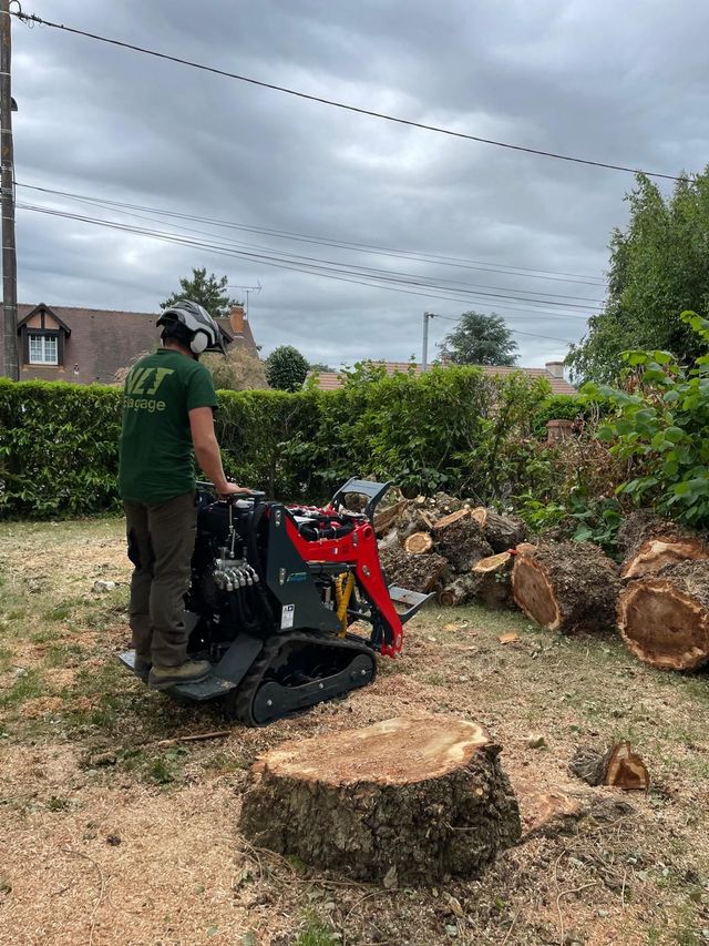 Un ouvrier, près d'une dessoucheuse, enlève des souches d'arbres dans une cour encombrée de bûches, sous un ciel couvert.