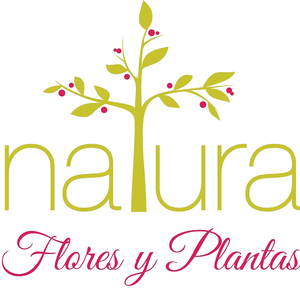 logotipo cabecera
