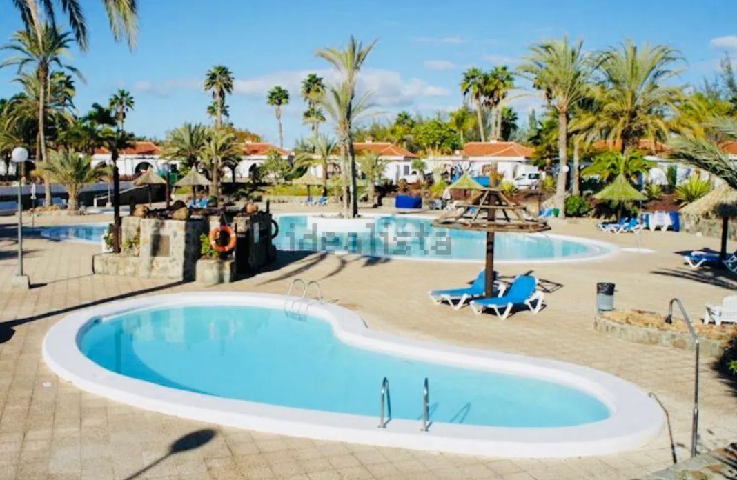 Zona de piscina con varias piscinas, palmeras y tumbonas bajo un cielo azul brillante.