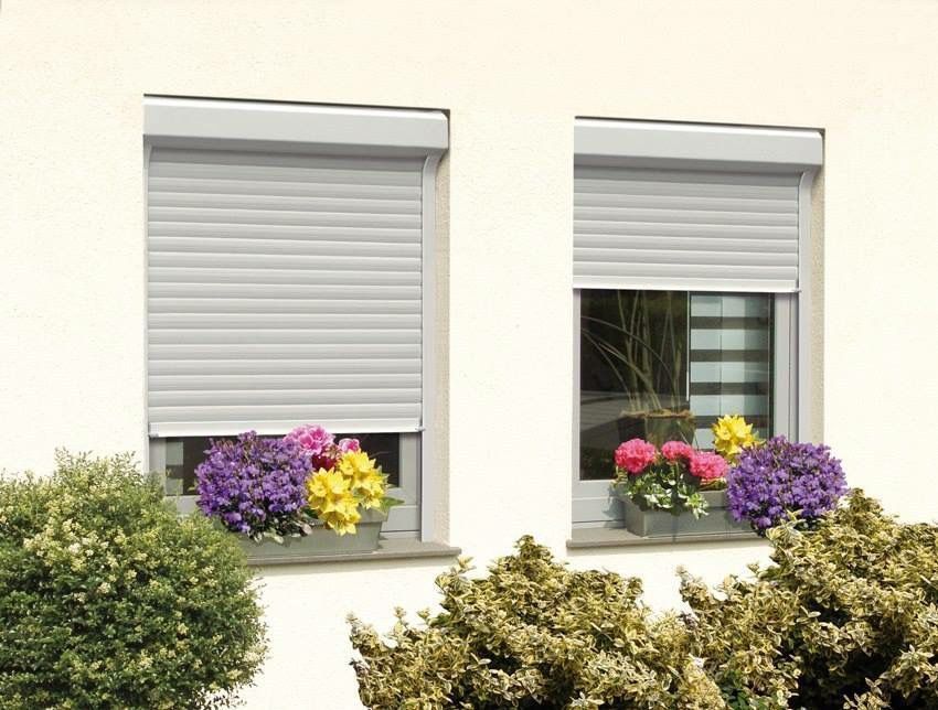 Zwei Fenster mit heruntergelassenen grauen Rollläden; darunter Blumenkästen, umgeben von Grünpflanzen.