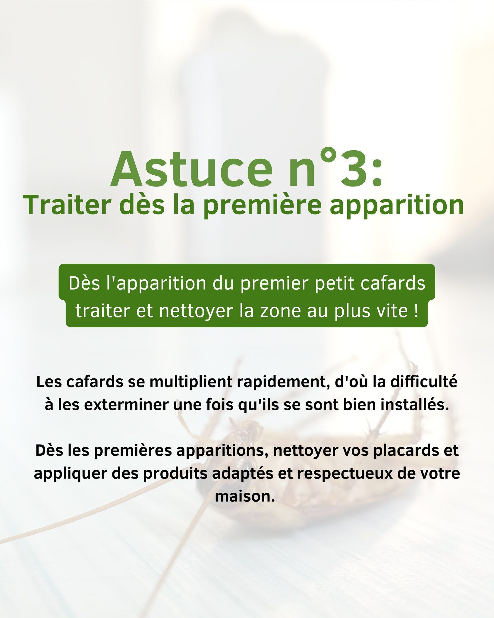 Astuce n°3 contre les cafards