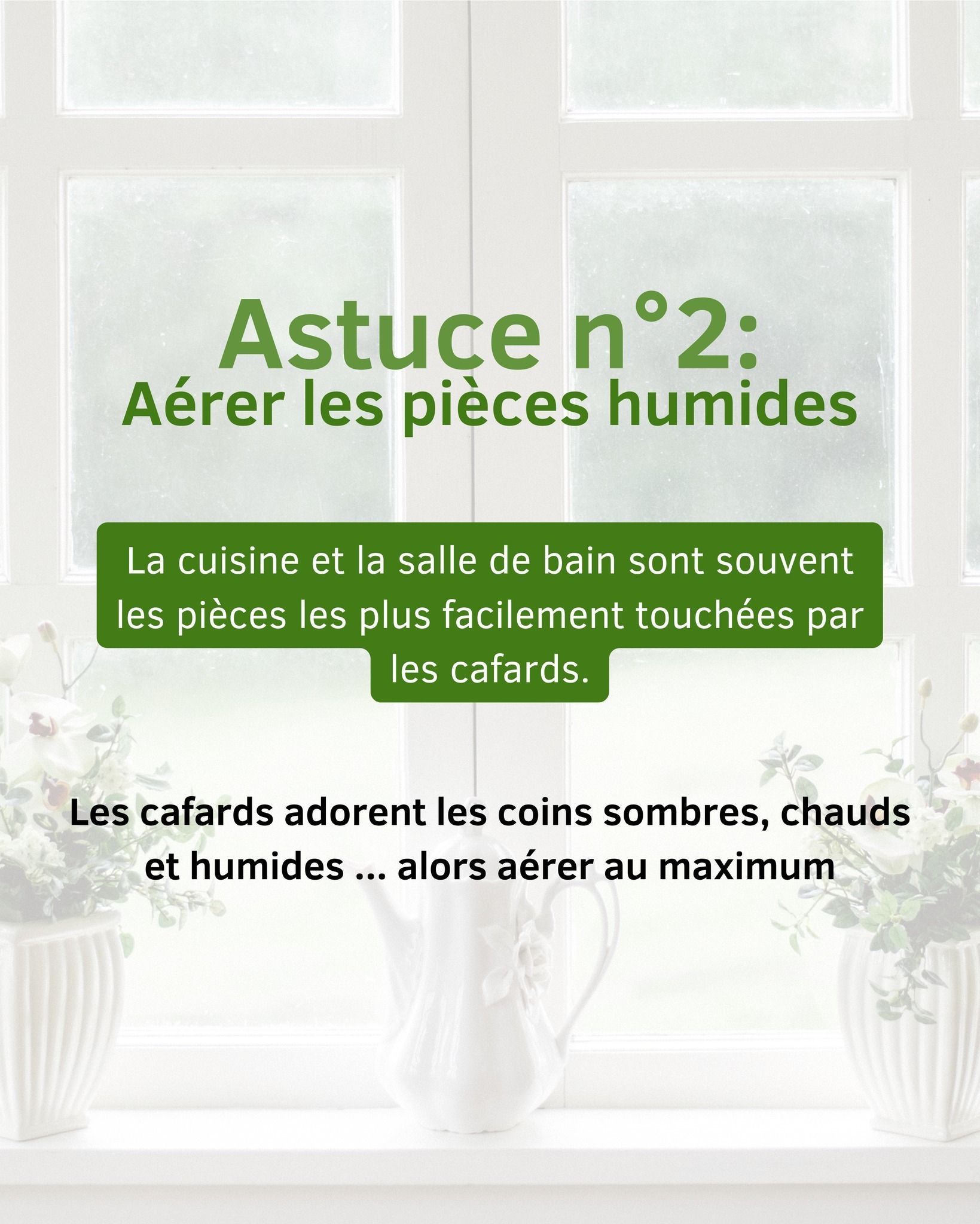 Astuce n°2 contre les cafards