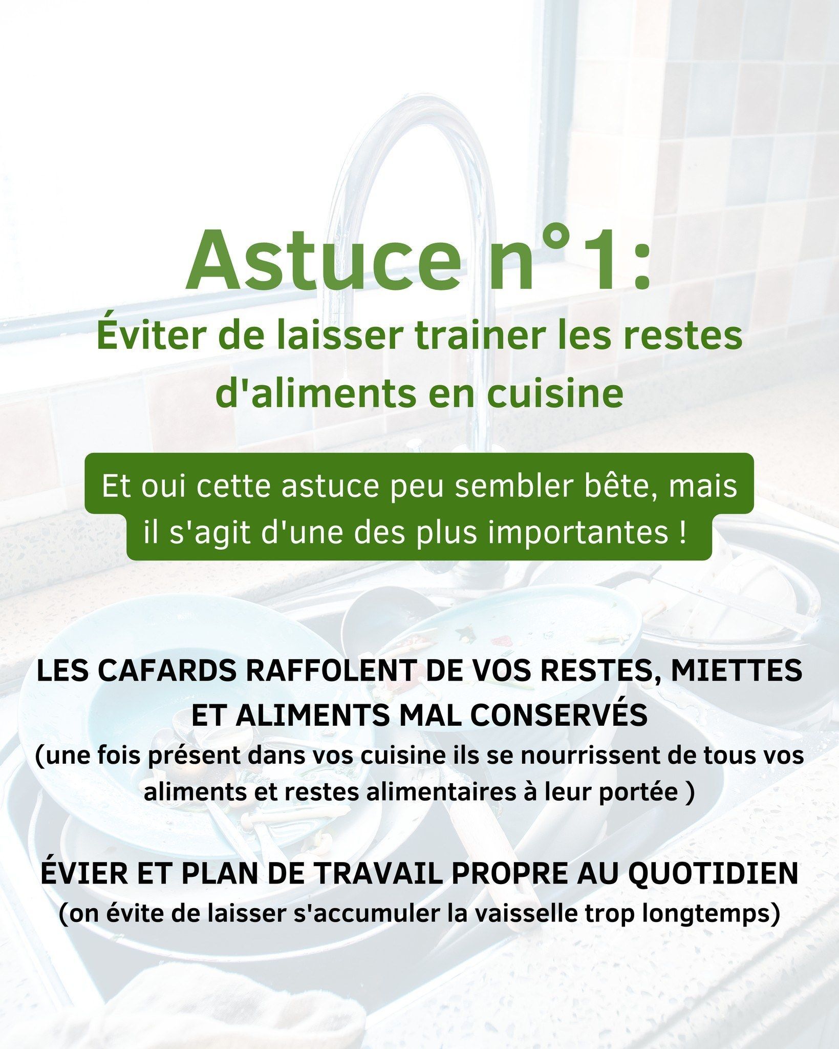 Astuce n°1 contre les cafards