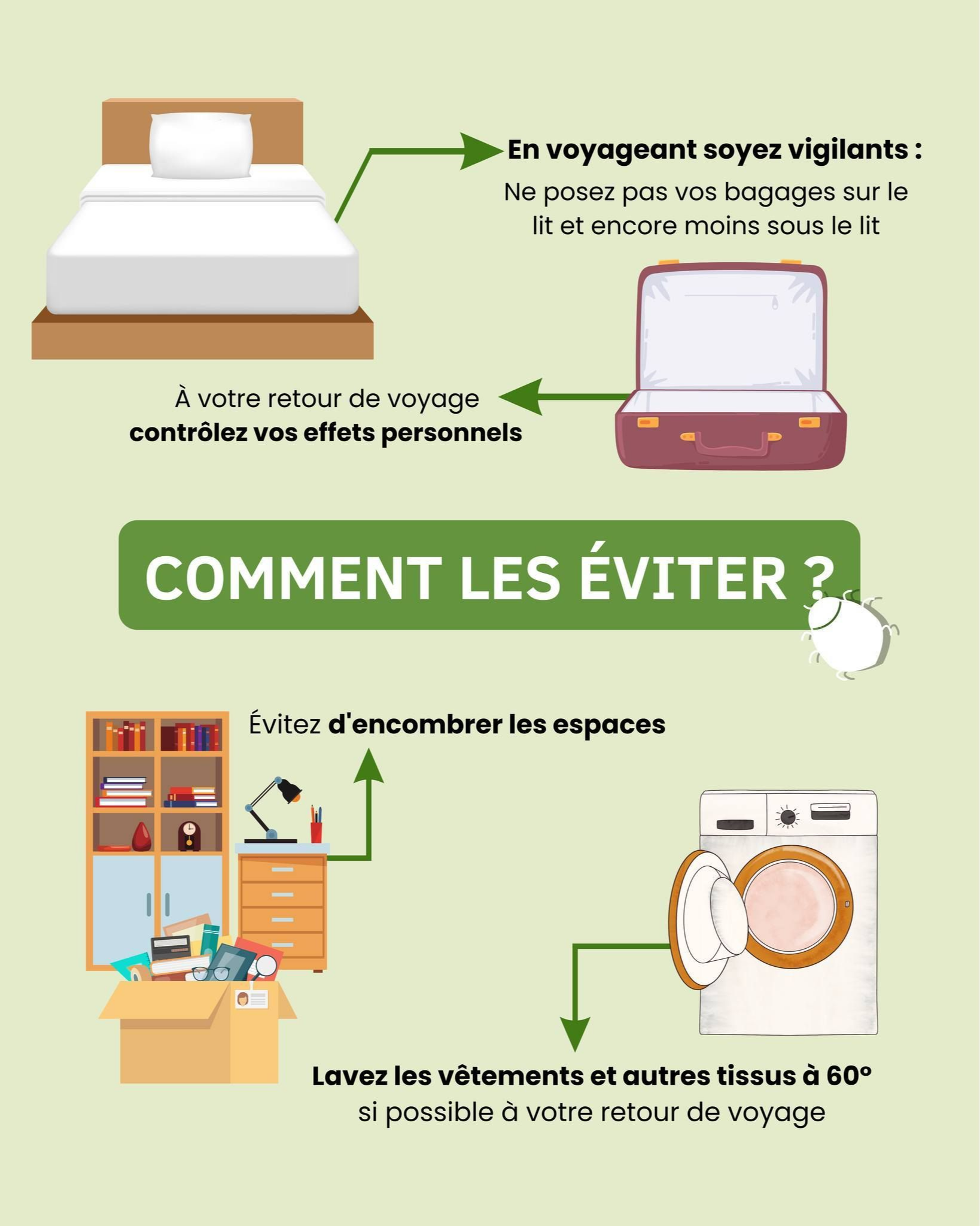 Conseils de sécurité en voyage pour éviter les punaises de lit
