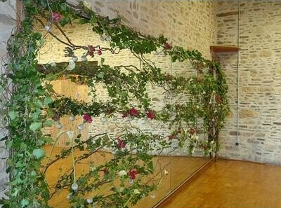 Lierre pour un mariage