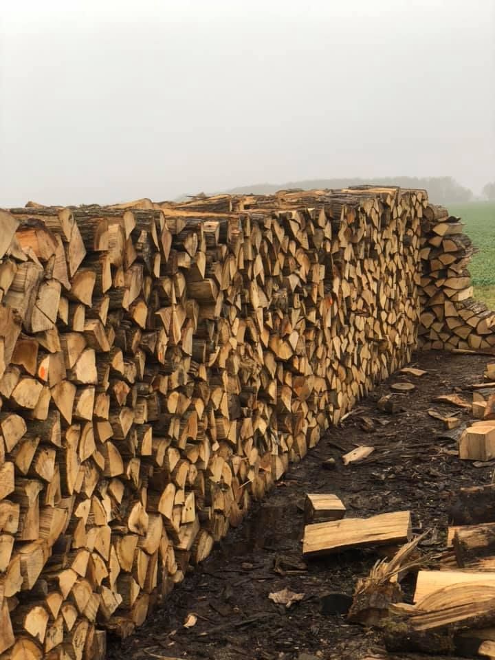 Empilement de bois coupé.