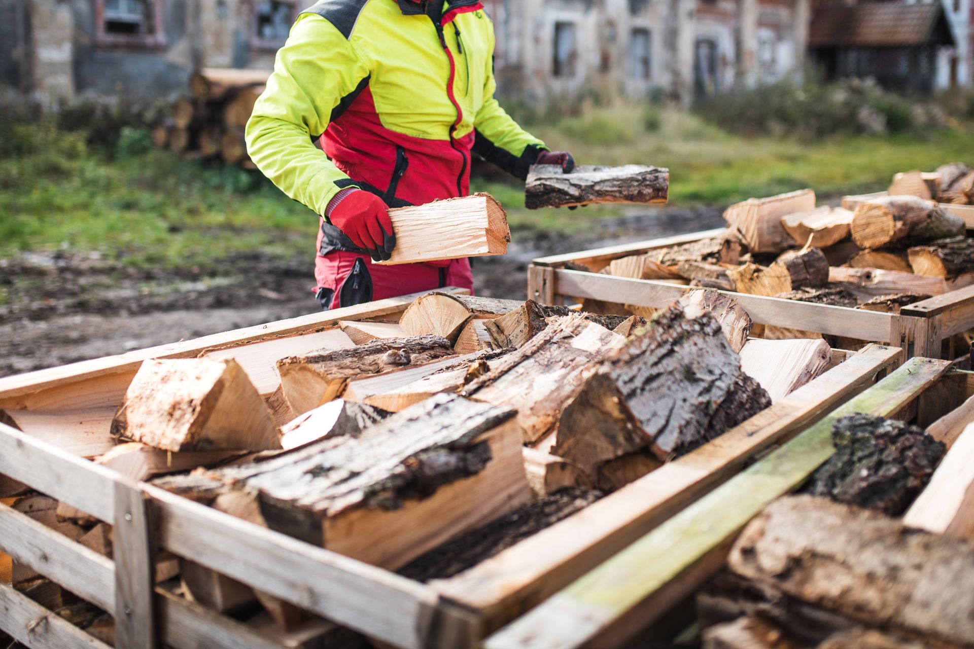 Un homme ramasse du bois de chauffage et les range dans des piles de conifères et de feuillus.
