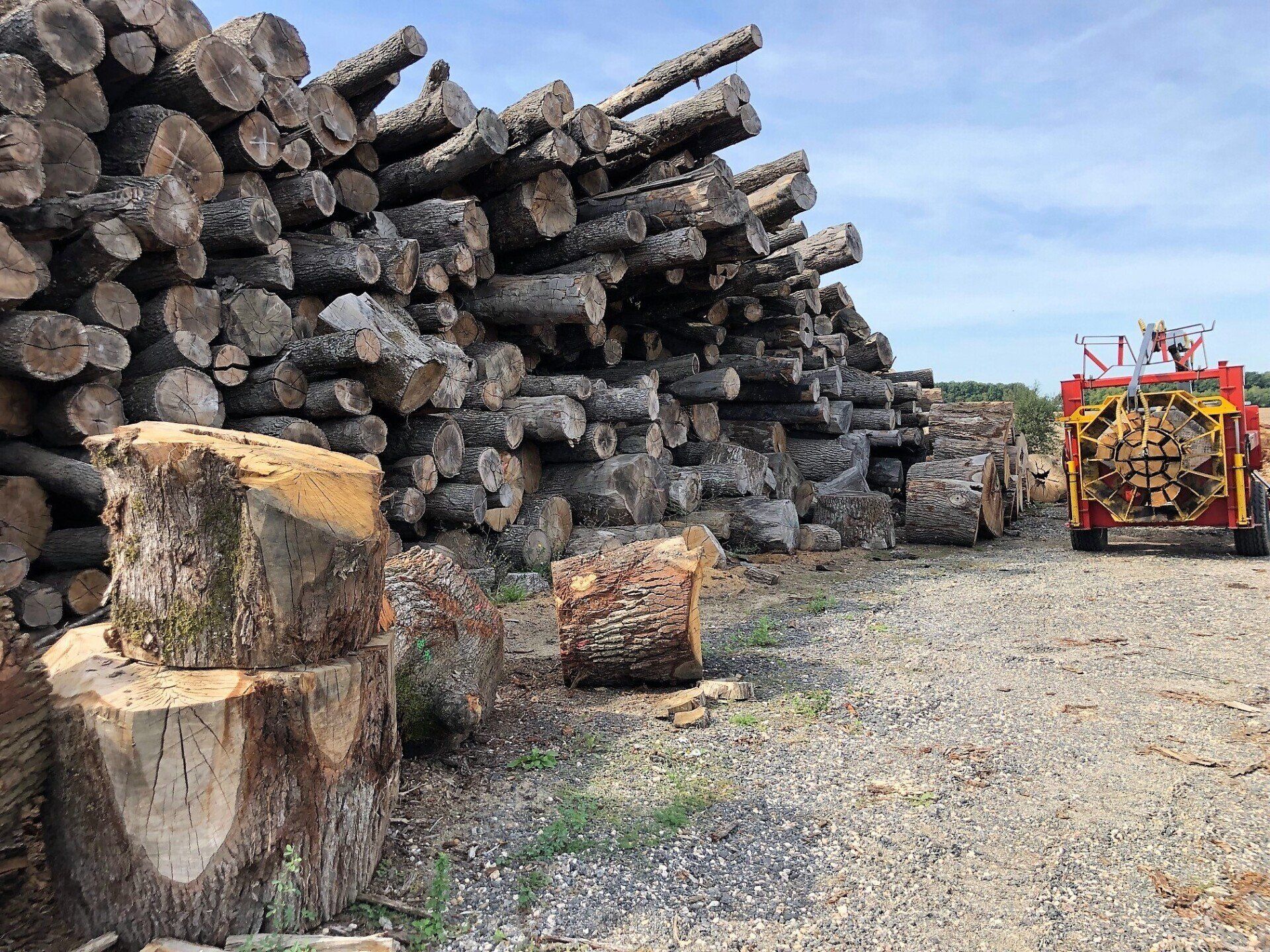 Empilement de troncs d'arbre couchés sur le sol.