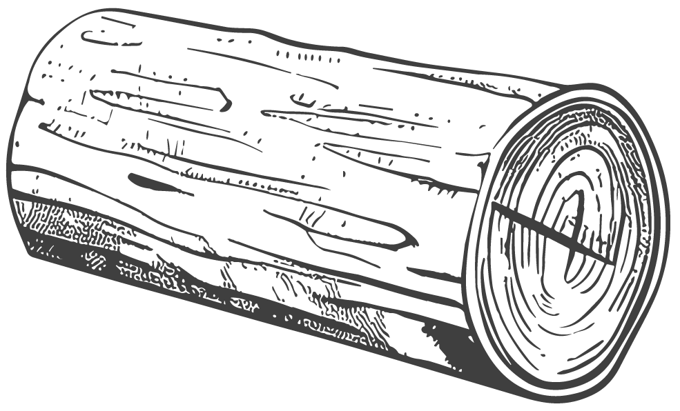 Une bûche de bois dessinée.