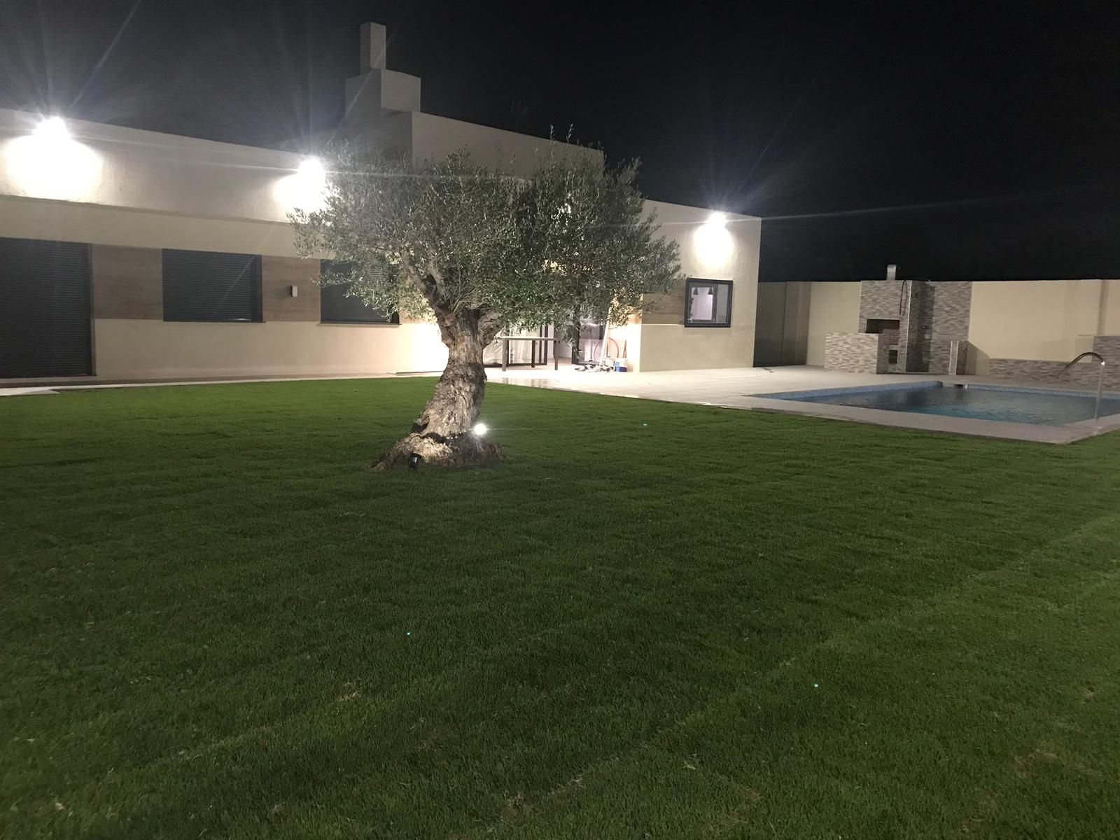 Un gran árbol está en medio de un exuberante césped verde frente a una casa por la noche.