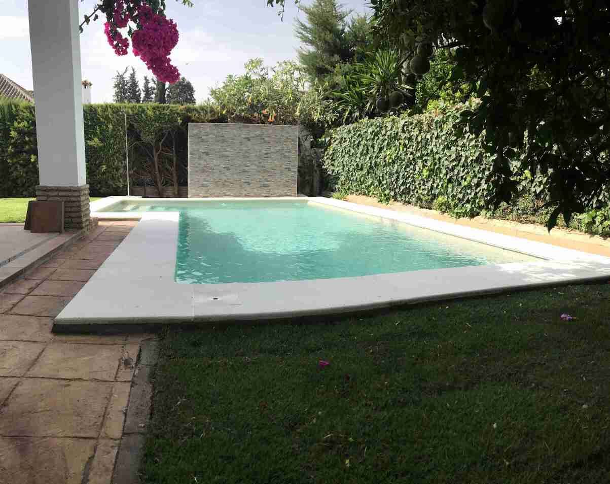 Una gran piscina está rodeada de exuberante vegetación.