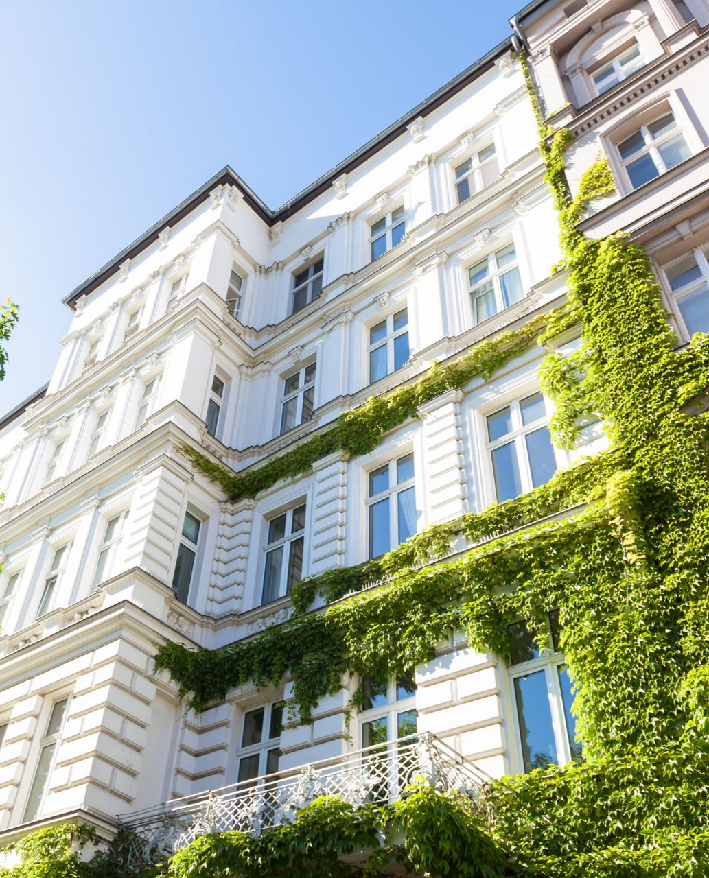 Bâtiment blanc avec du lierre grimpant sur sa façade sous un ciel bleu vif.