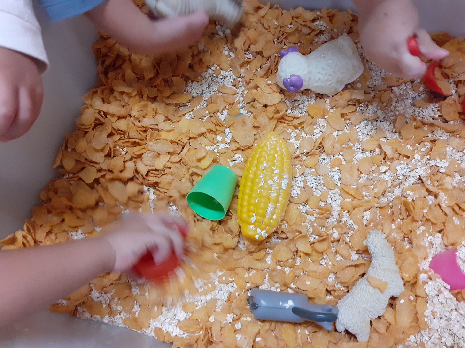 Παιδικός Σταθμός - Νηπιαγωγείο