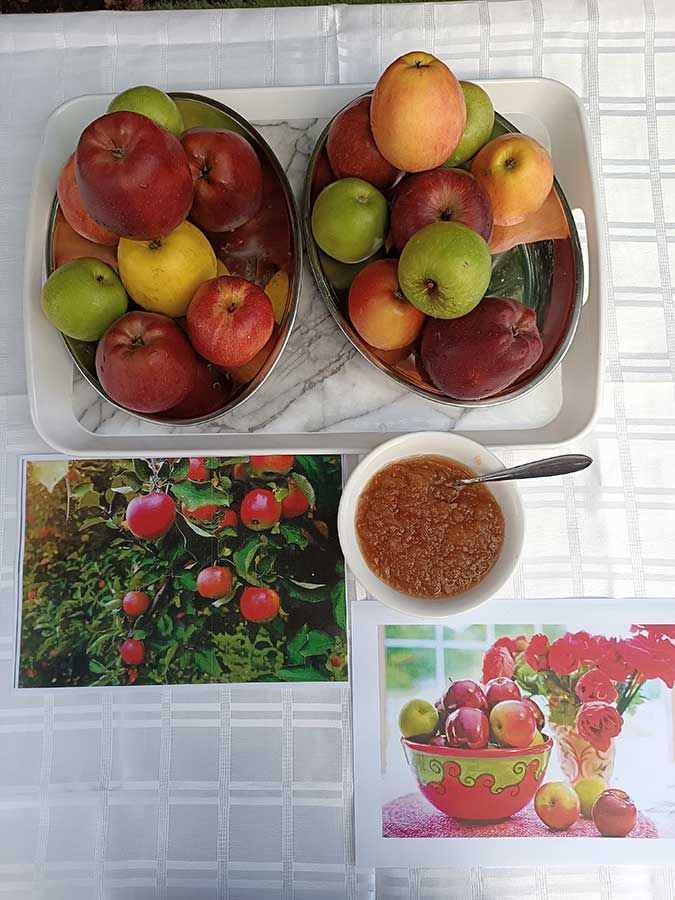 Προνήπιο Α'