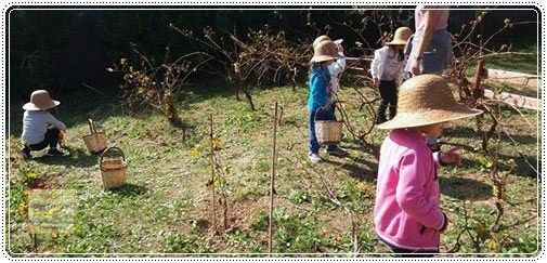 Προνήπιο Α'